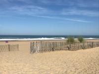 Hippocampe - B&B Anglet