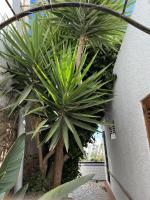 El Mirador de Mojácar - B&B Mojacar Pueblo