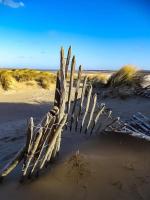 Le Touquet - maison de vacances proche plage - B&B Le Touquet-Paris-Plage