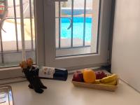 Apartment Casa Casandra , Urbanisation Dona Pilar - beautiful, peaceful & tranquil - B&B Mijas