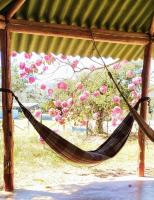 Nova Terra Alto Paraíso - B&B