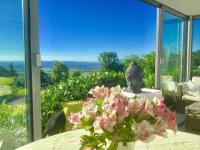 Traumwohnung - Weinberge - Traumpanorama mit Wintergarten und Kamin - Ferienwohnung Bühl