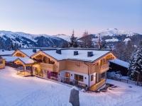 Falkensteinalm Top 2 - B&B Königsleiten