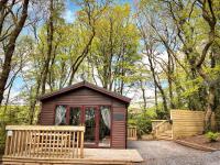 Woodland View -Hot Tub-Tenby-Carmarthen-St Clears - B&B Saint Clears