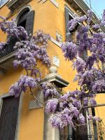 Carbonaia Venezia - Bed and Breakfast Venetië