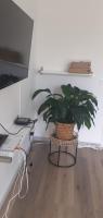 appartement proche paris et Roissy - Ferienwohnung