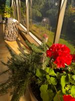 Apt "Laura" Terrasse - Parking - Plage - 5pers - Chambres d’hôtes Juan-les-Pins