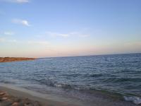 Lentisco B&B - B&B Avetrana