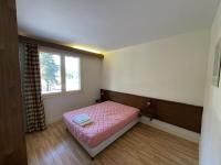 Agréable T2 au pied des pistes avec piscine estivale, parking, et animaux bienvenus - FR-1-787-31 - Ferienwohnung Laveissière