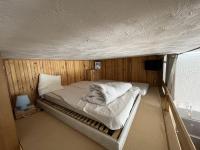 Studio spacieux 40m², pieds des pistes, wifi, équipements bébé, animaux admis, Laveissière - FR-1-787-58 - Chambres d'hôtes Laveissière