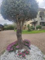Ulivo A2 - Chambres d’hôtes Sassari