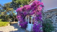 Rayol vue mer jardin plage à pied - St-Tropez 25km - B&B Rayol-Canadel-sur-Mer