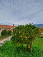 La casa di Costa - B&B Dorizáta