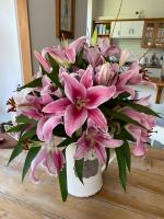 Gorgeous Villa, 7 minutes from Airport - B&B