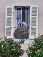 Maison Commandant Blaison - Chambres d’hôtes Lapalisse