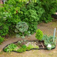 Apartament Studzienna - Ferienwohnung Thorn