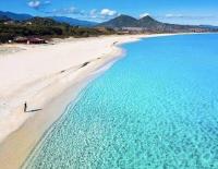 Mirto - B&B Olia Speciosa