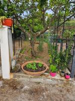 Molpea - B&B