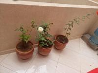 Apprt Ennakhil 3 - B&B El Jadida