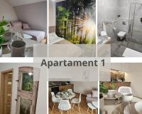 One-Bedroom Standard Apartment