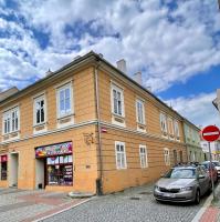 Apartmán Dominikánská - B&B