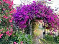 STUDIO dans Villa à Nice Ouest - B&B Nice