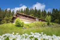 Chalet Dyna, luxe, calme et sérénité - Chambres d’hôtes Gérardmer