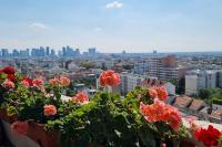 Appartement avec belle vue sur Paris - Chambres d’hôtes