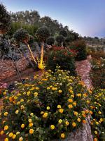 Villa with Private Pool - Erato