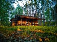Leśna Chata - B&B Bierzów