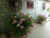 Apartman Sunce - Ferienwohnung Umag