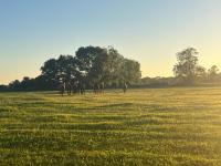 La Cidrerie d Antan - Chambres d’hôtes Arganchy