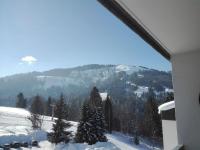 Wilder Kaiser Familien Ferienwohnung - Ferienwohnung