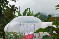 Safari Bubbles - B&B