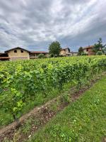 Borgo nel Vigneto - B&B