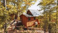 The Hickory in Treehouse Grove at Norton Creek - Chambres d'hôtes Gatlinburg