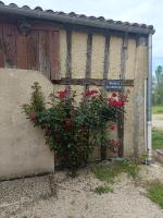 LE GRAND CASTILLON - Gîte avec piscine, pêche avec 2 étangs privés, foret et Jacuzzi en option - B&B Castelnau d'Auzan