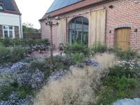 Walbrugge - B&B Anzegem