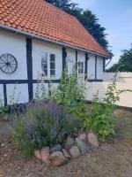 Violen - B&B Åkirkeby