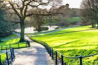 The Garden Luxe Retreat - B&B Dublino