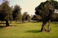 B&B El Olivar - Ferienwohnung Lima