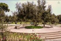 B&B El Olivar - B&B