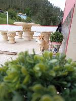 La Casina independiente de Bruno,de dos dormitorios cerca de la playa - Chambres d’hôtes