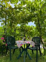 Studio apartment Adrijana - B&B