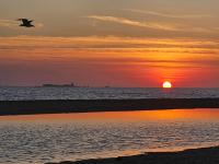 Casa piscina - B&B Chiclana de la Frontera