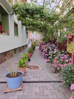 Rodica Apartment - B&B Sibiu