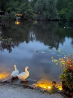 Lacuna VITA by Sonnevijver Residences - B&B Lanaken