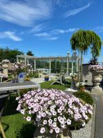 Domki Nad Rozlewiskiem Basen, Małpi Gaj w Świetlicy - Wszystko dla Dzieci - B&B Sarbinowo