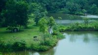 Chú Thiện Homestay and Camping - Ferienwohnung Sóc Sơn