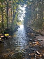 Pool House - B&B Trosa